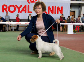 Нажмите для увеличения